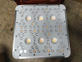 Luce LED 300W per Coltivazione Indoor