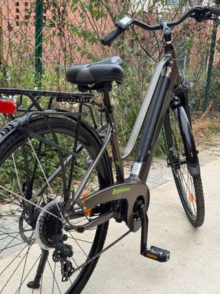 Bicicleta eléctrica Legnano Terra Lady 44