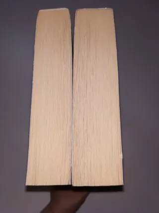 Pack Hermosas Criaturas: 1 y 2 de la saga