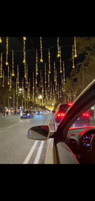 Servicio de Transporte y Recogidas (Sevilla)