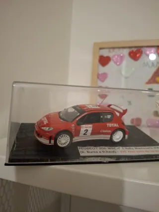 Peugeot 206 WRC 1/43 Rally Montecarlo 2003