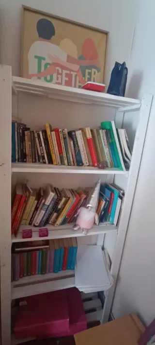 Conjunto de estanterías de madera