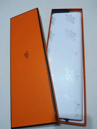 Corbata Hermès Azul con Estampado