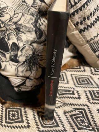 Frankenstein. Mary W. Shelley 2002