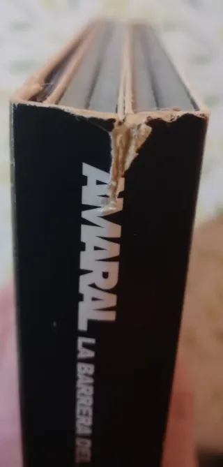 Amaral - La Barrera del Sonido