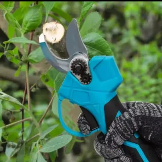 Motosega e Forbici con Pertica Telescopica