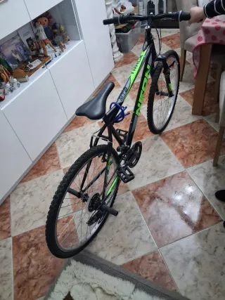Bicicleta Neon 26