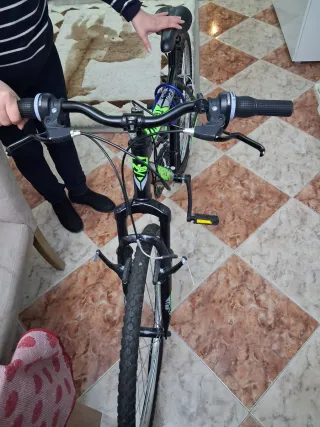 Bicicleta Neon 26