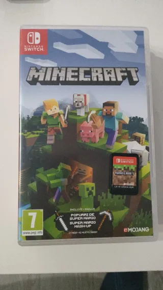 Minecraft Nintendo Switch