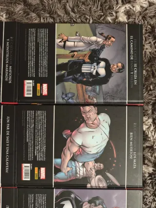 El Castigador de Ennis y Dillon, completa