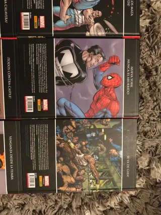 El Castigador de Ennis y Dillon, completa