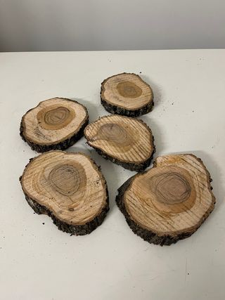 Lote 5 Rodajas de olivo milenario lajas