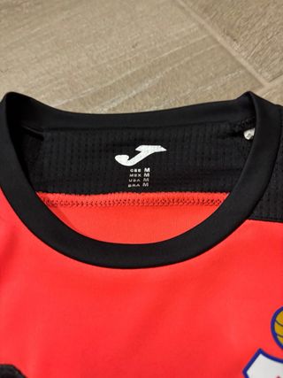 Camiseta Eibar Match Worn Joma