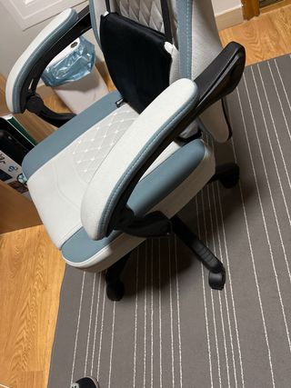 Silla Gaming Dowinx Gris ya montado