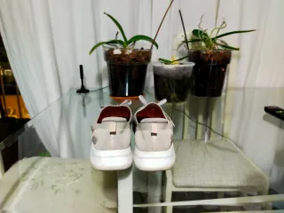 Zapatillas deportivas Skechers beige