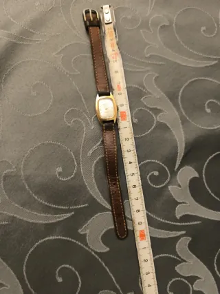 Reloj BENMORE Mujer Dorado y Marrón