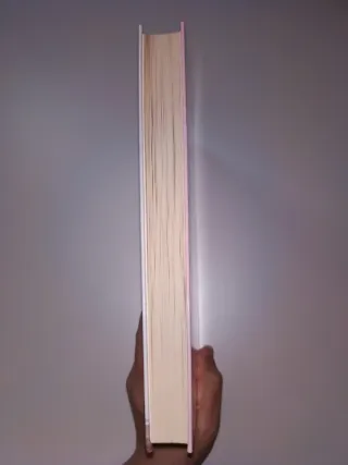 Un corazon por conquistar