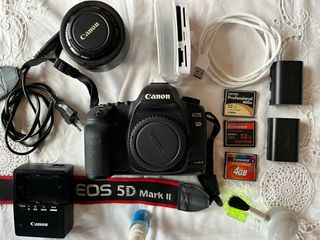 Canon 5D Mark II + 35mm f/2 IS + MIC Pro + CF 68 G