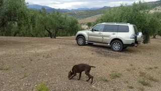 Mitsubishi Montero 2008