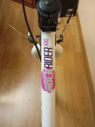 Bicicleta MTB Aluminio 26