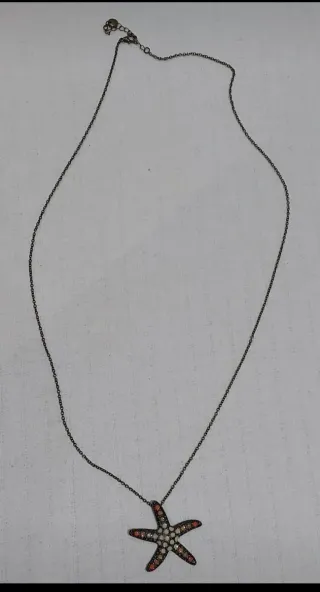 Colgante estrella de mar