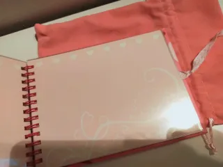 Set rosa: album + peluche