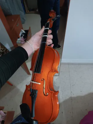 Violín 1/2 con funda, arco y resina