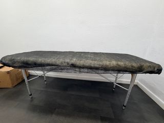 Camilla Profesional Plegable Estética