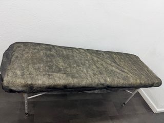 Camilla Profesional Plegable Estética