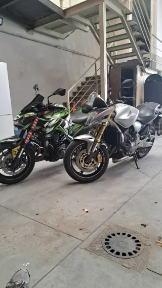 Honda CB600F Hornet 2009