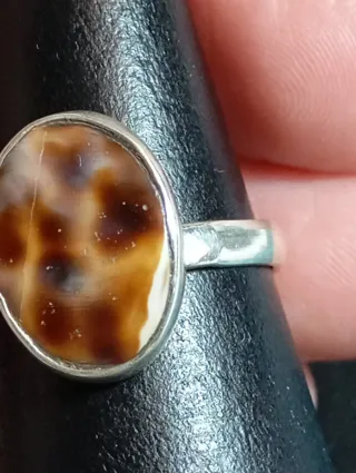 Anillo Plata Ley ágata musgosa sin pulir