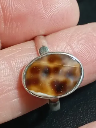 Anillo Plata Ley ágata musgosa sin pulir