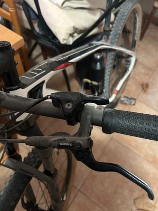 Bicicleta Olympia F1