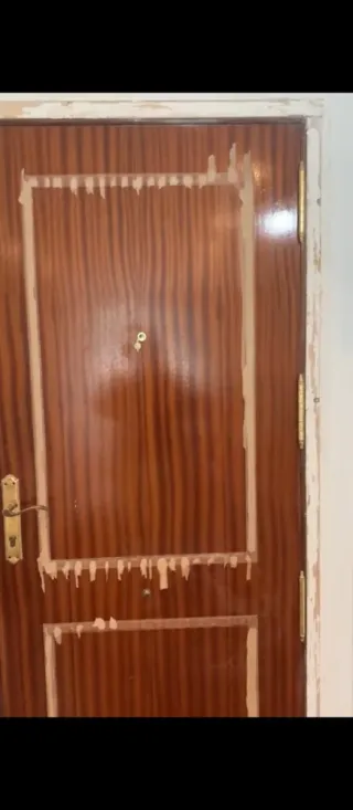 Pintor profesional económico