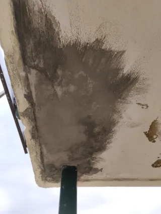 Pintor profesional económico