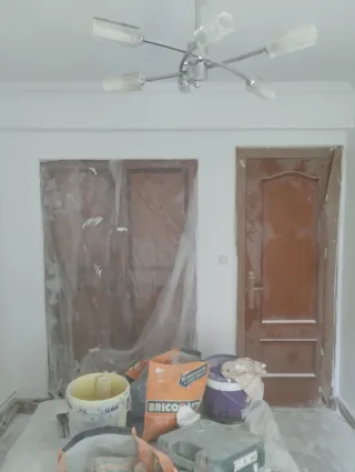 Pintor profesional económico