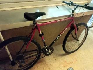 Bicicleta BTT Antigua Shimano SIS