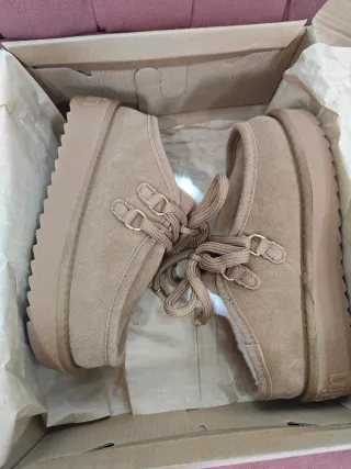 Botín D.Franklin Beige/Marrón Talla 36