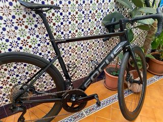 Cuadro Focus Izalco Max 8.8