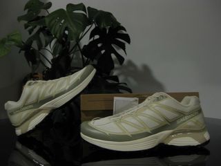 Zapatillas Salomon XT Pathway 2