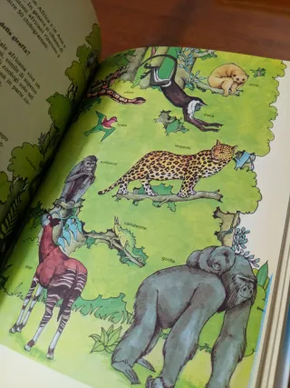 Come dove quando perché