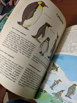 Come dove quando perché