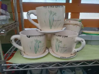 Set 3 Vasi Tazze XL Ceramica Piante Grasse