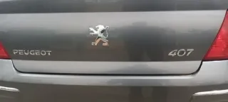 Tornillos Antirrobo Peugeot 407