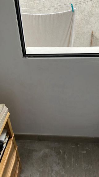 pintor pintor profesional y limpio