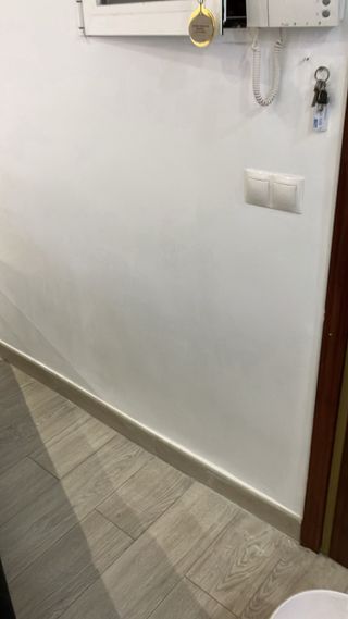 pintor pintor profesional y limpio