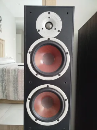 Columnas Dali Spektor 6