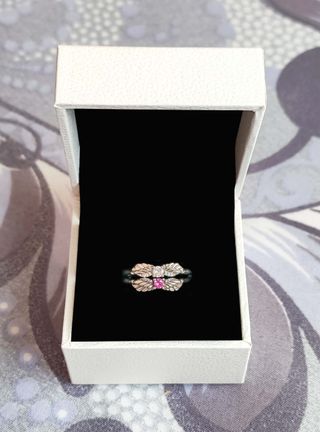 Conjunto Alas de Ángel