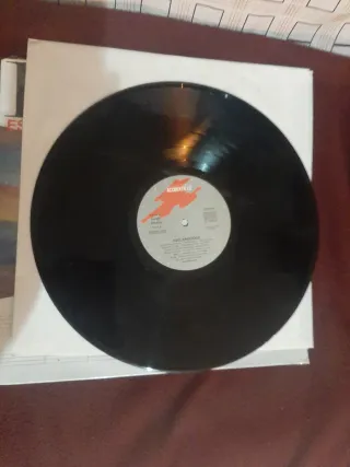 Vinilo Esclarecidos 2
