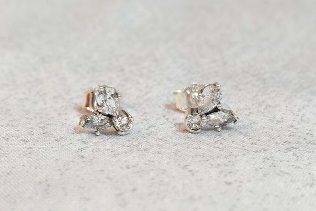 Conjunto Herbario Floral